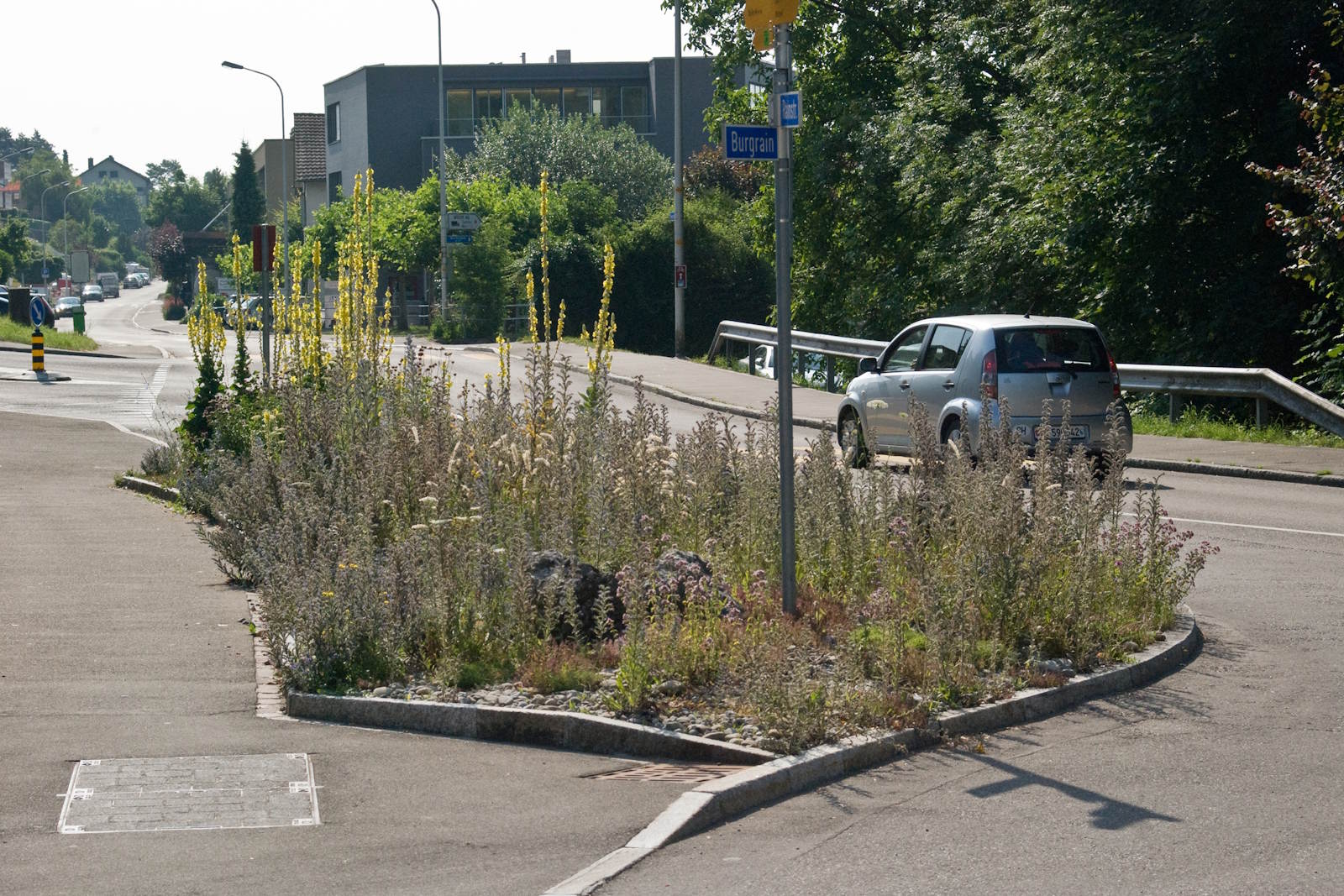 Verkehrsbegleitflächen