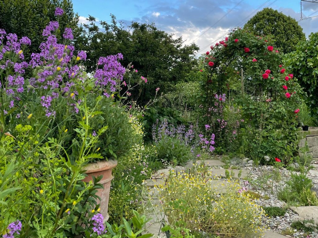 Farbenfroher Naturgarten
