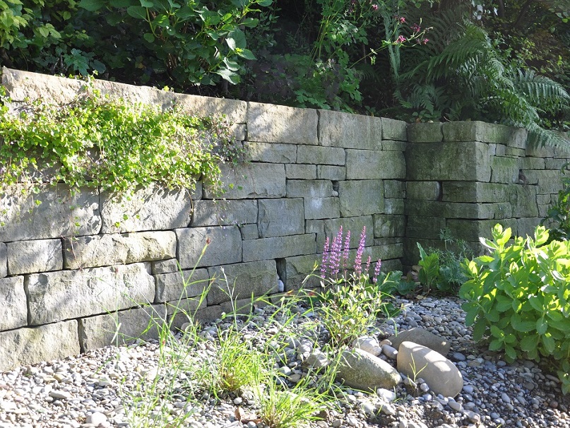 Bild 20 trockensteinmauer Mehr Leben im Garten