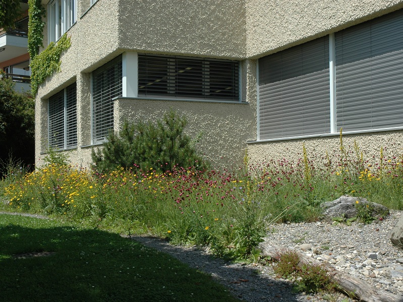 Bild 34 Firmenanlage Mehr Leben im Garten