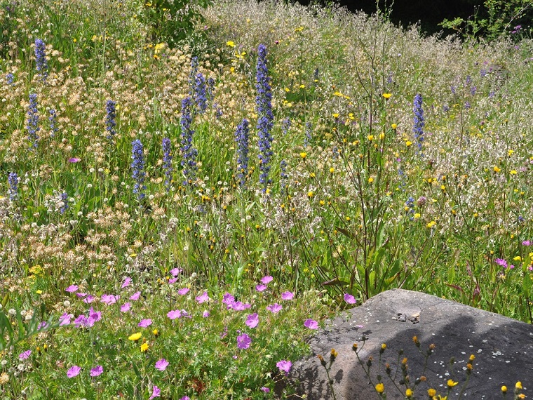 Bild 35 Firmenanlage Mehr Leben im Garten