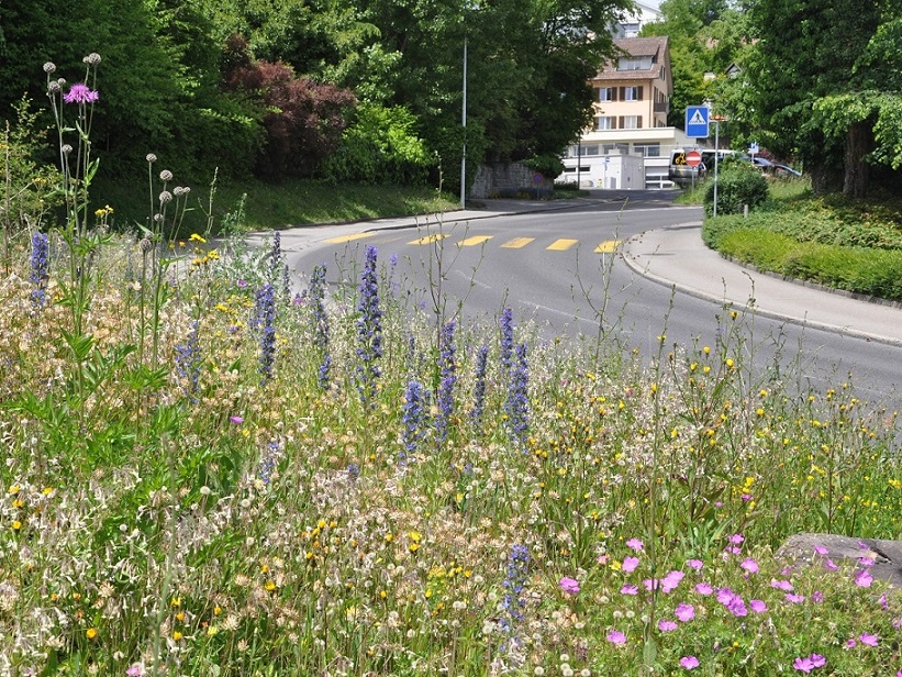Bild 37 Verkehrbegleitfläche Mehr Leben im Garten