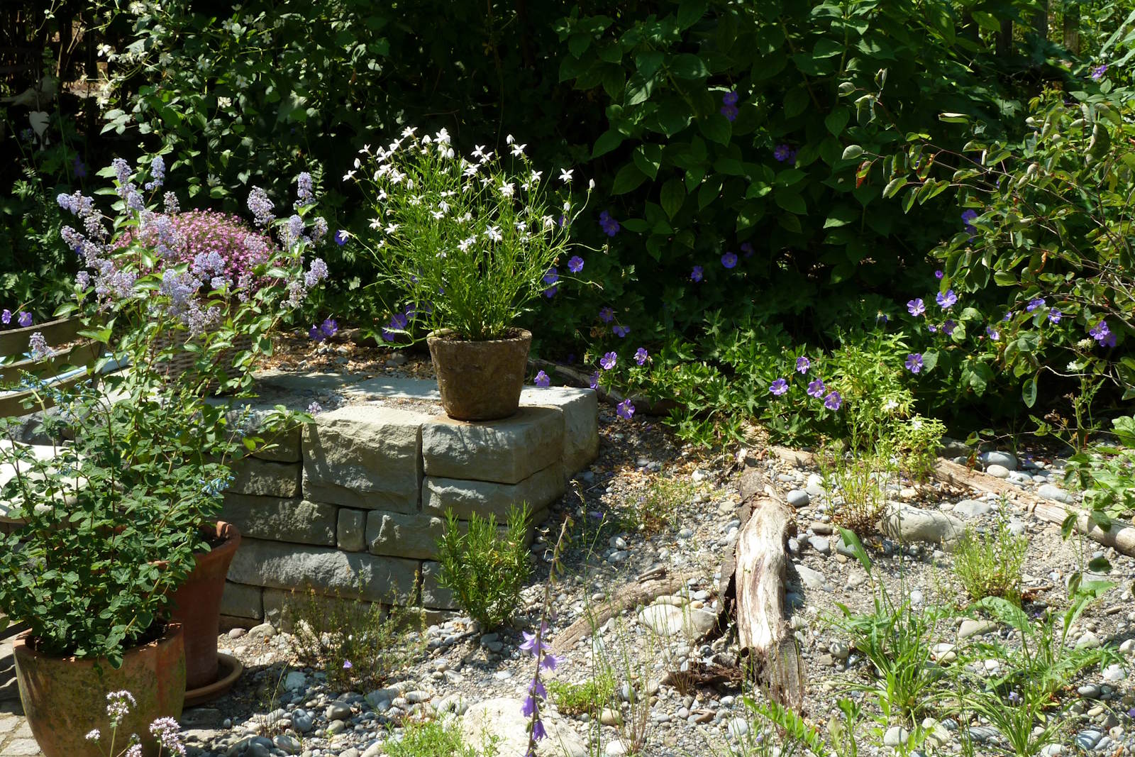 Bild 42 Pflege Mehr Leben im Garten