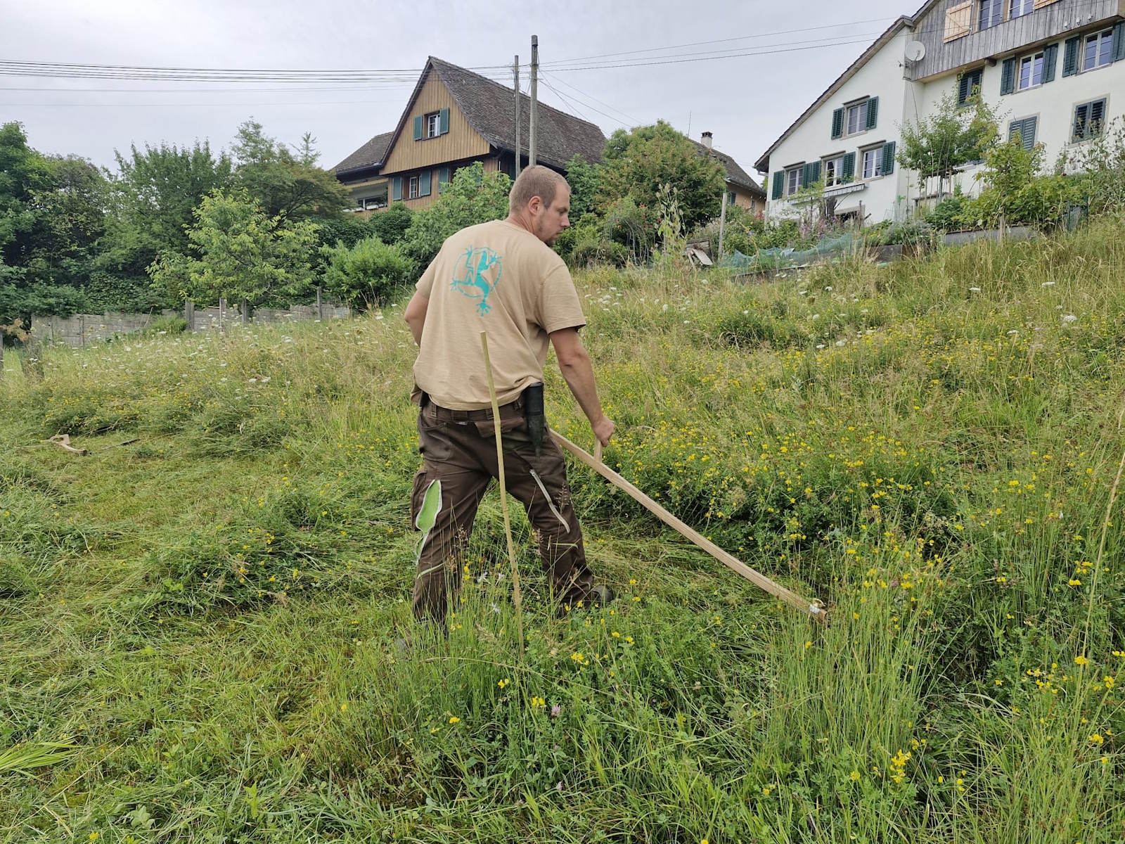 Bild 44 Pflege Mehr Leben im Garten