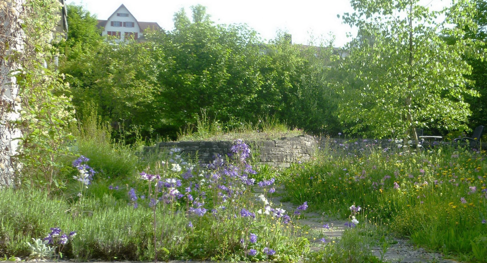 Farbenfroher Naturgarten